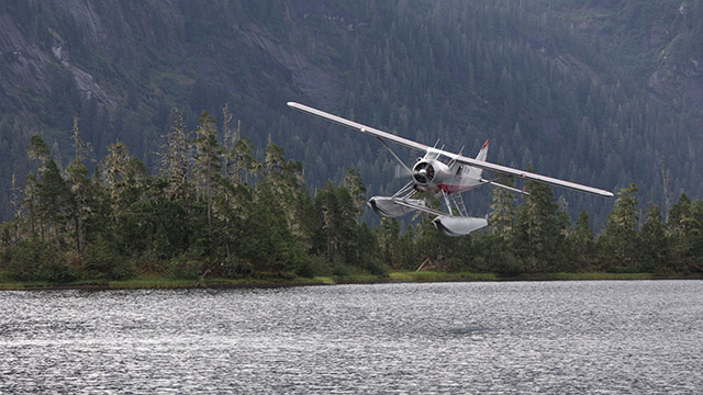 Season 12 will also be available for streaming online.